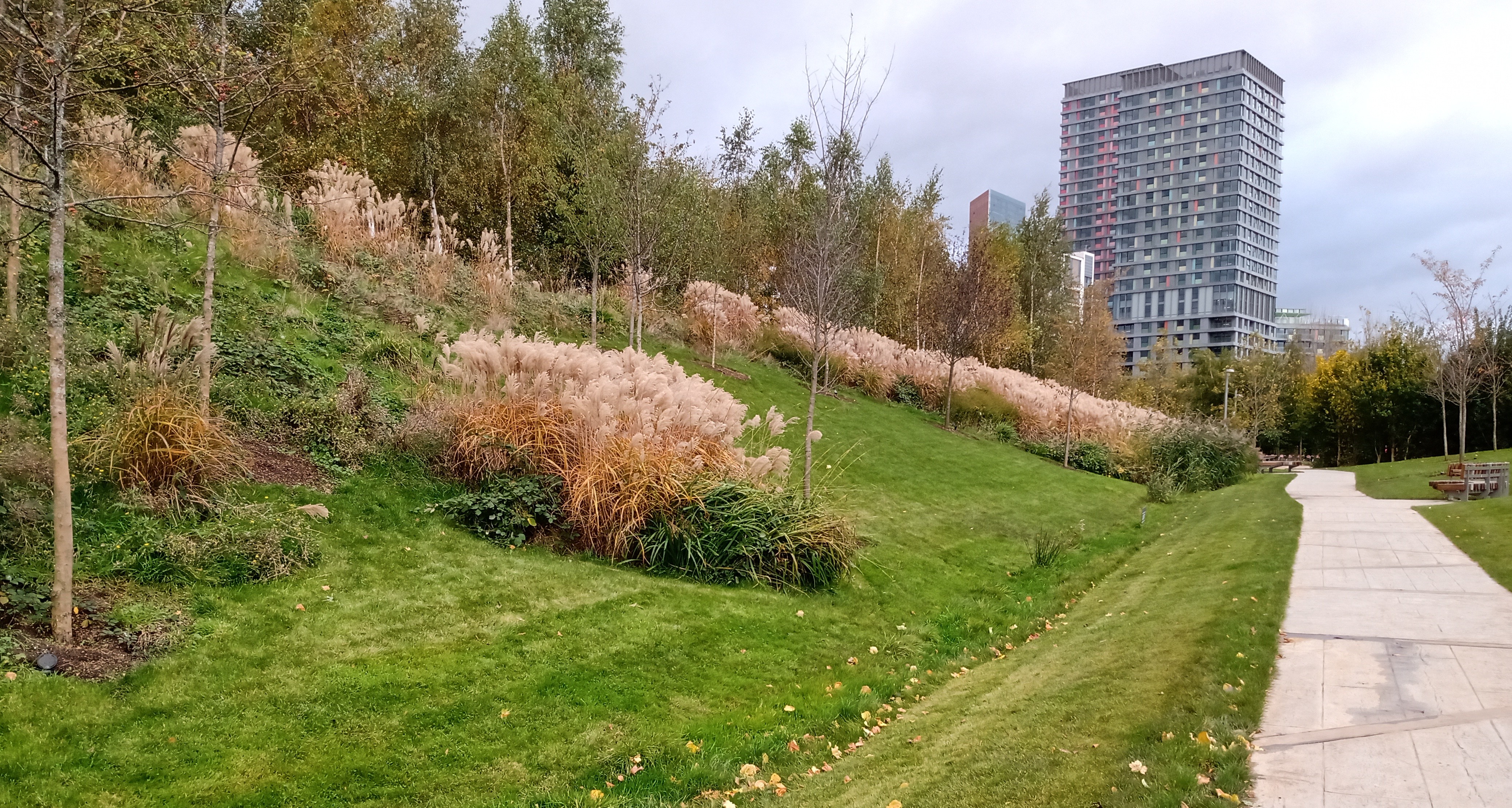 Queen Elizabeth Olympic Park